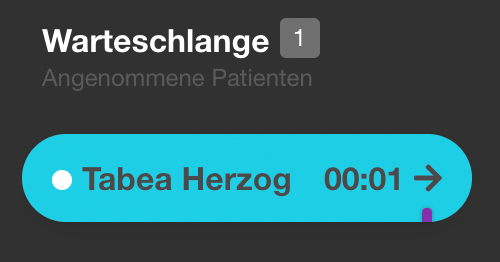 Damit das Wichtigste auf einen Blick erkennbar ist, erscheinen die Tags der Patienten auch in der Übersicht.